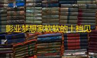 影业梦想家软软的十档见解